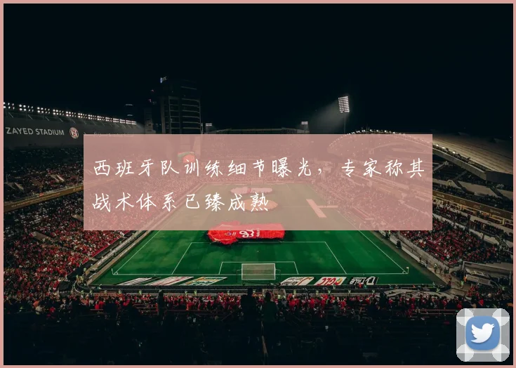 西班牙队训练细节曝光，专家称其战术体系已臻成熟