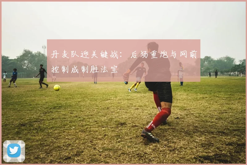 丹麦队迎关键战：后场重炮与网前控制成制胜法宝